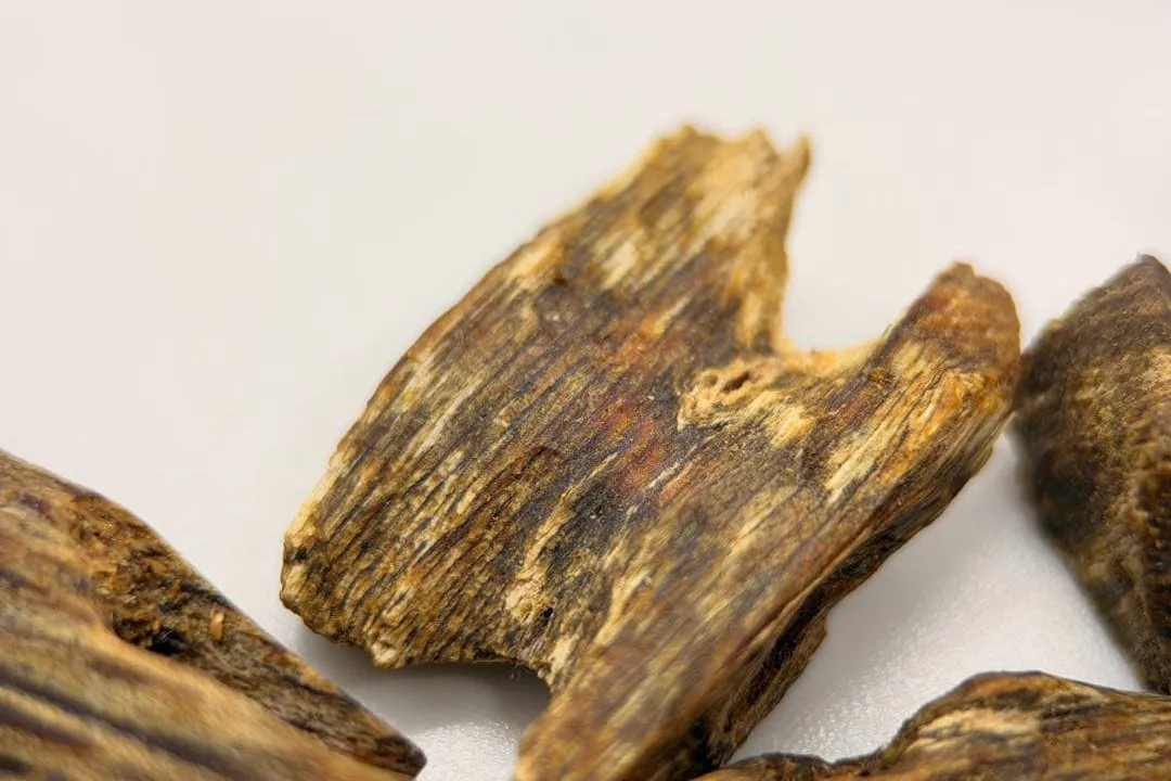 白い背景に置いた特撰の香木片